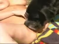 Crazy outdoor group sex action with two doggies